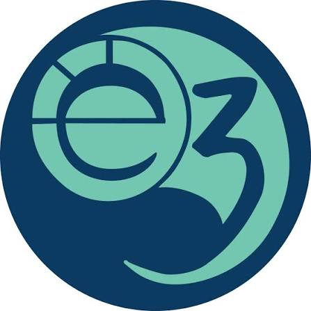 e3 Counseling & Wellness Collective